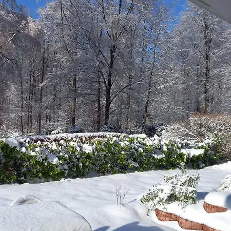 Appartement Haus Am Wald *