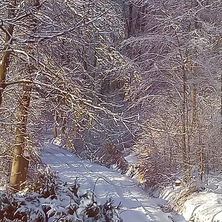 Haus Am Wald アパート *