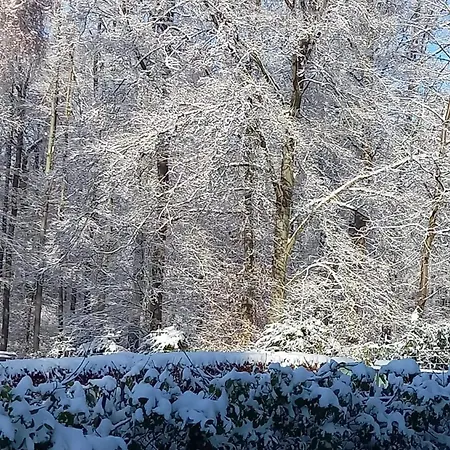 Haus Am Wald