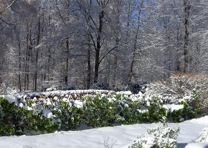 Apartament Haus Am Wald *