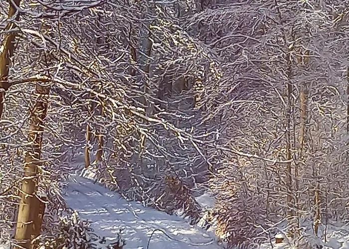 Haus Am Wald Apartament *